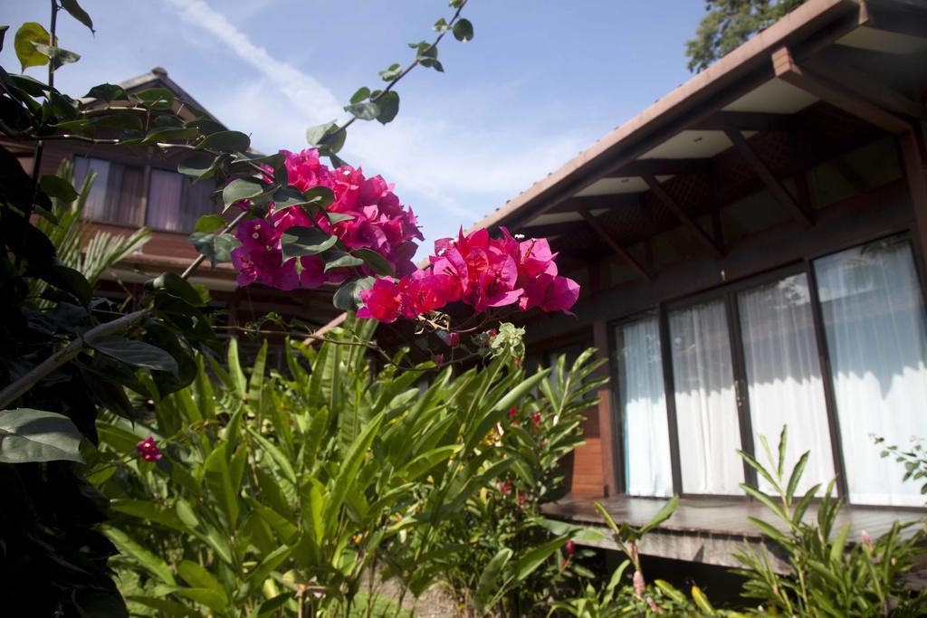 Kenaki Lodge Puerto Viejo de Talamanca Экстерьер фото